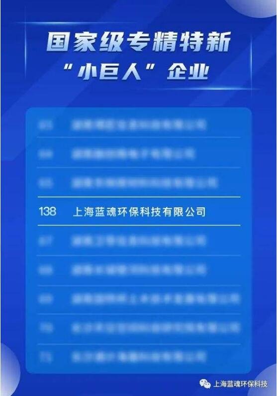 bob客户端下载晋级国家队！上海蓝魂获评国家级专精特新“小巨人”！