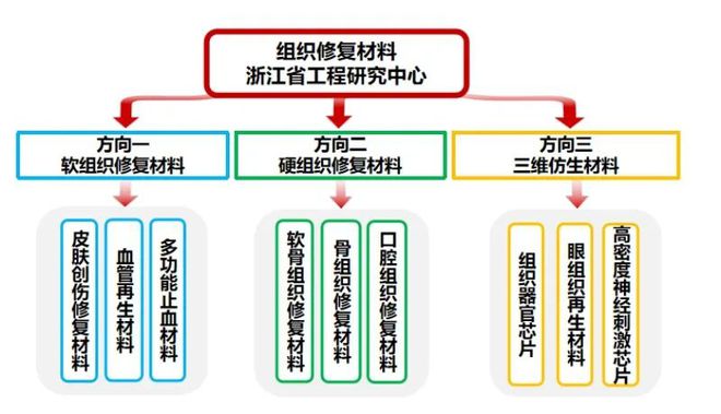 bob客户端下载赞！国科大温州研究院这个研究中心获省级认定